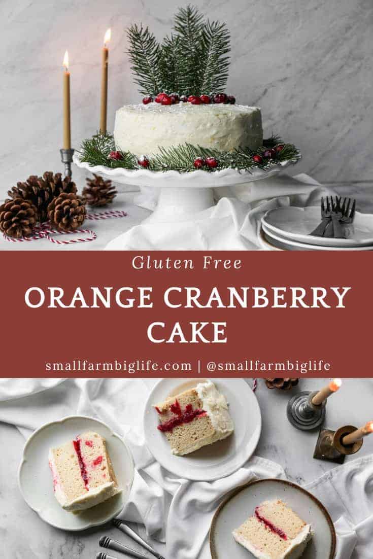 Gluten Free Orange Cranberry Cake - Small Farm Big Life
