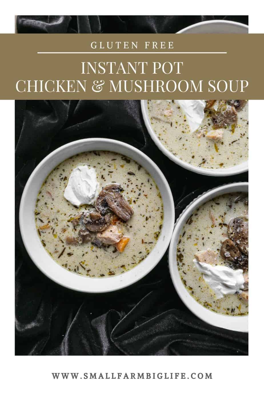 Gluten Free Instant Pot Chicken and Mushroom Soup - Small Farm Big Life