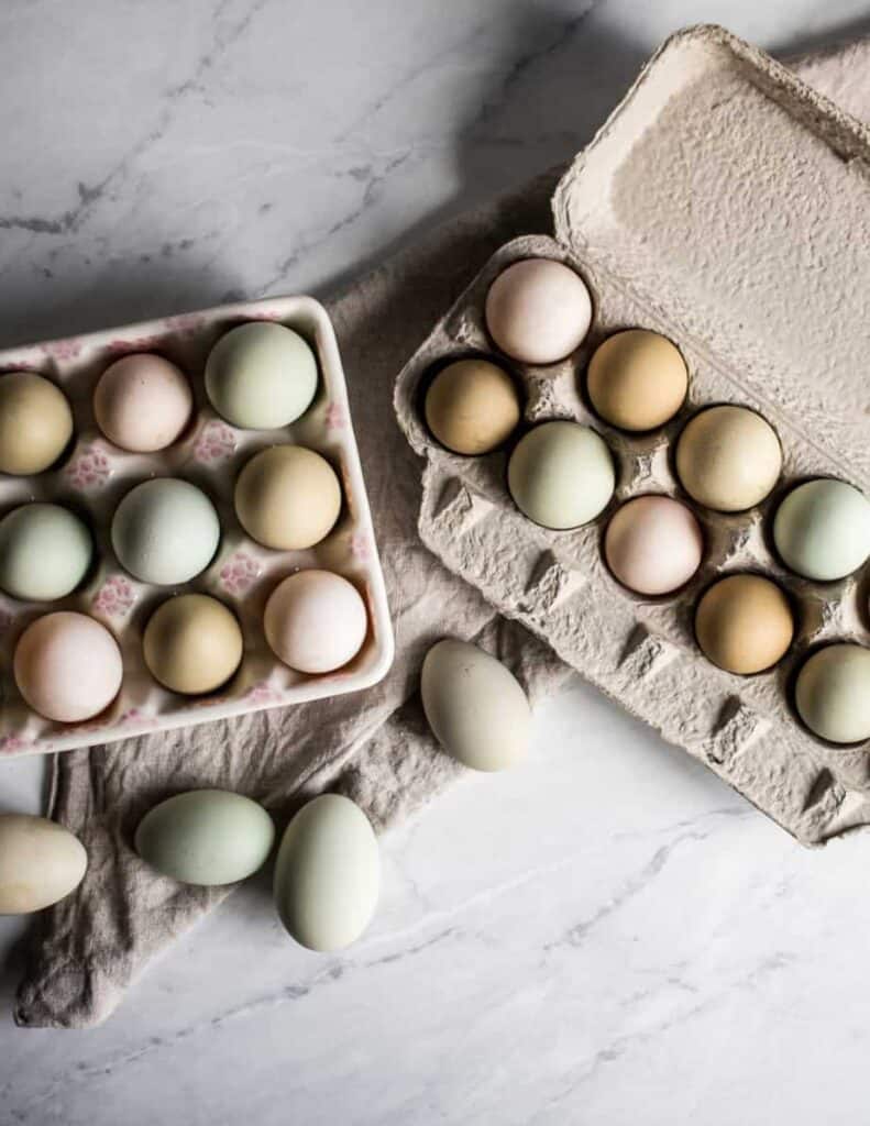 green, blue, brown and cream farm fresh eggs from our chickens in egg cartons