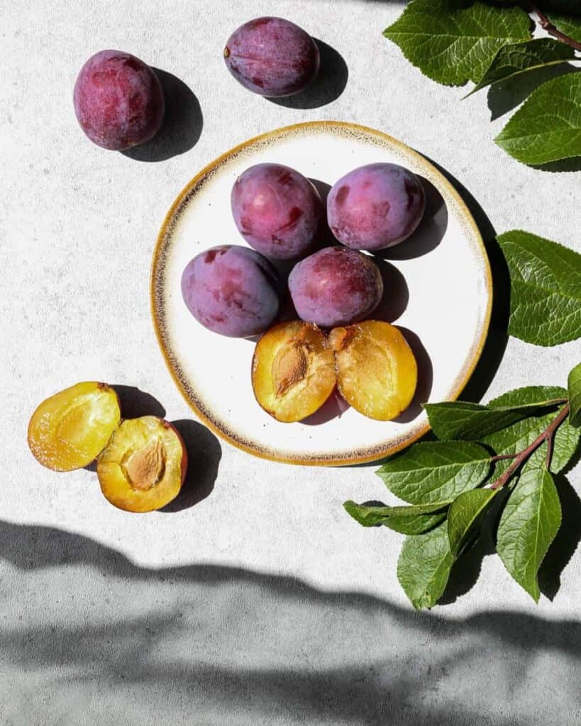 some of my favorite things 0 fresh purple plums with a yellow center on a plate with a plum tree branch laying beside it