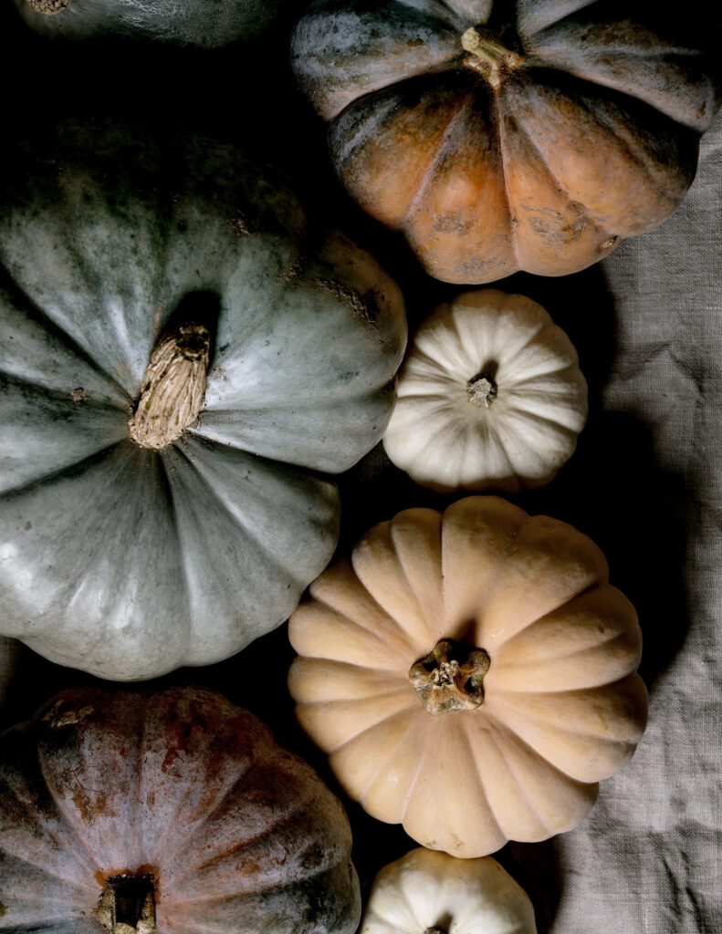 fancy pumpkins in various sizes with sage, white and orange colors