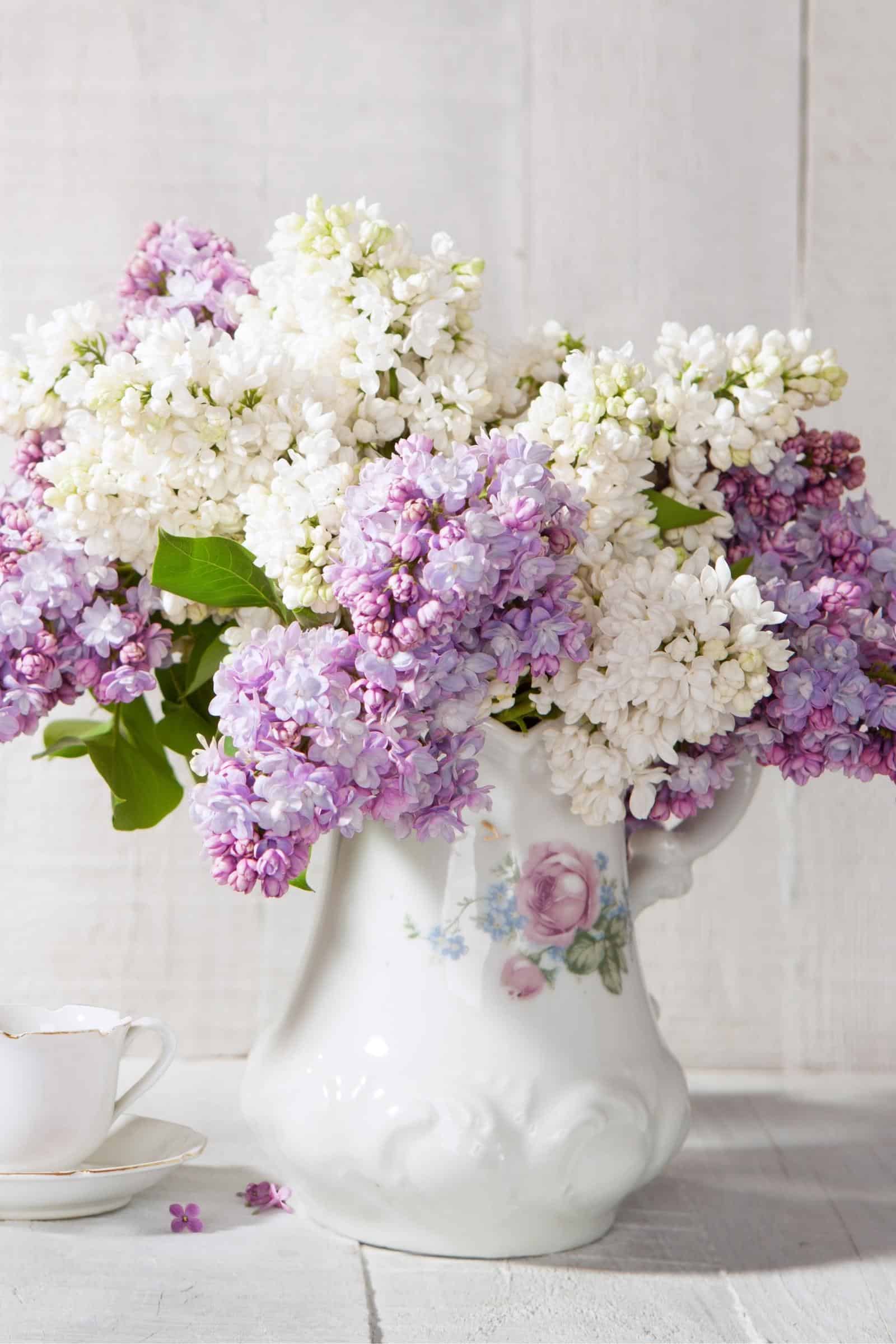 one of my favorite things is a huge bouquet of spring lilac flowers.