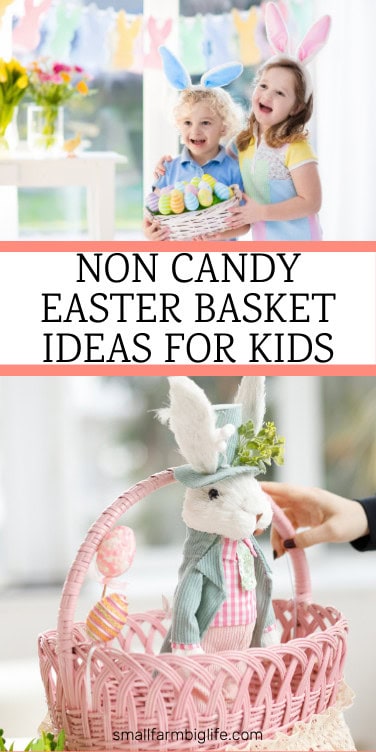 Non Candy Easter Basket Ideas for Kids - Small Farm Big Life